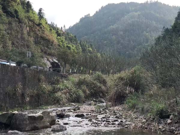 欠钱不还能够报警吗？上海欠款纠纷律师为您解答