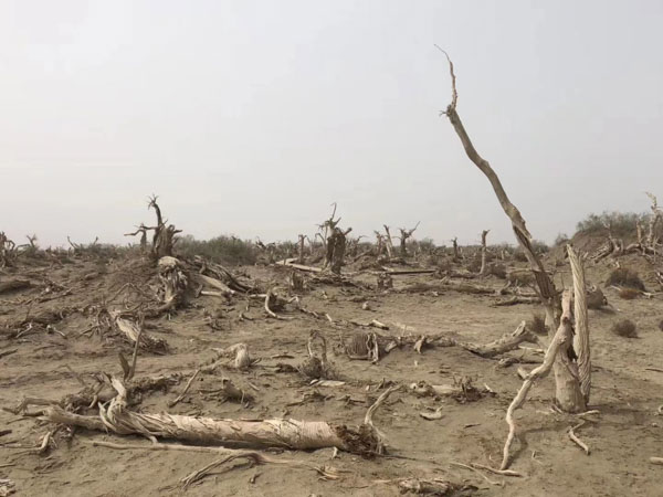 上海法律顾问解答：国有土地使用权收回补偿项目有哪些?