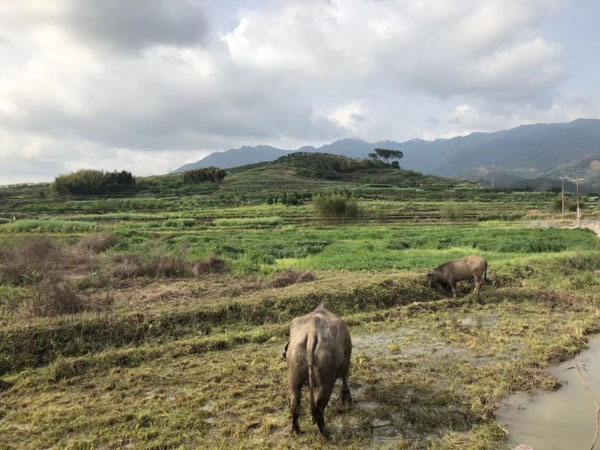 上海律师为你详细解释国有土地及集体土地补偿标准，涉及城中村