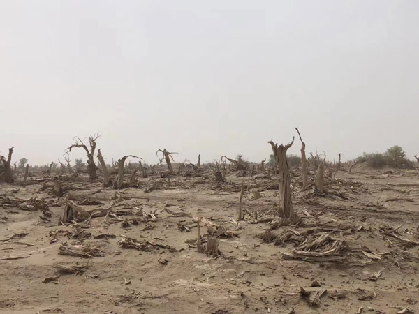 上海在线法律律师为您解答建设工程施工合同发包人是否承担连带责任