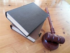 支付宝发了口令红包，发现被骗了，怎么办